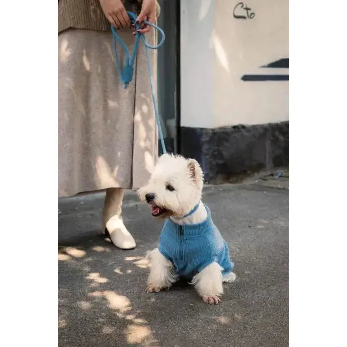 FuzzYard Life | Atelier Rope Dog Lead - French Blue-FuzzYard Life-Love My Hound