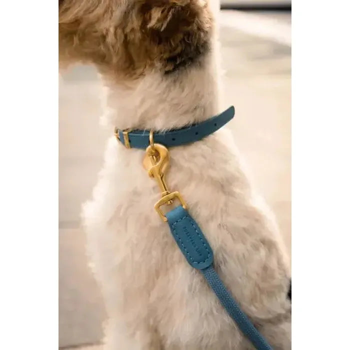 FuzzYard Life | Atelier Rope Dog Lead - French Blue-FuzzYard Life-Love My Hound