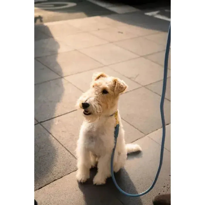 FuzzYard Life | Atelier Rope Dog Lead - French Blue-FuzzYard Life-Love My Hound
