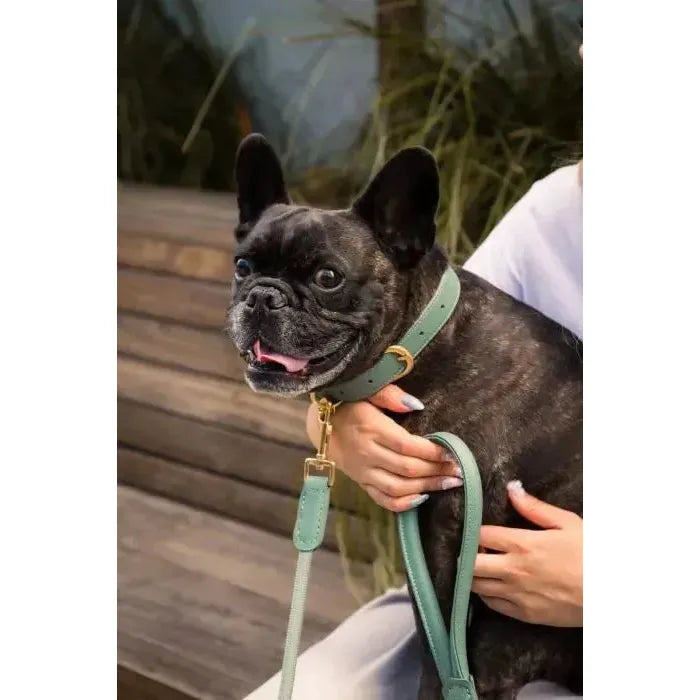 FuzzYard Life | Atelier Rope Dog Lead - Myrtle Green-FuzzYard Life-Love My Hound