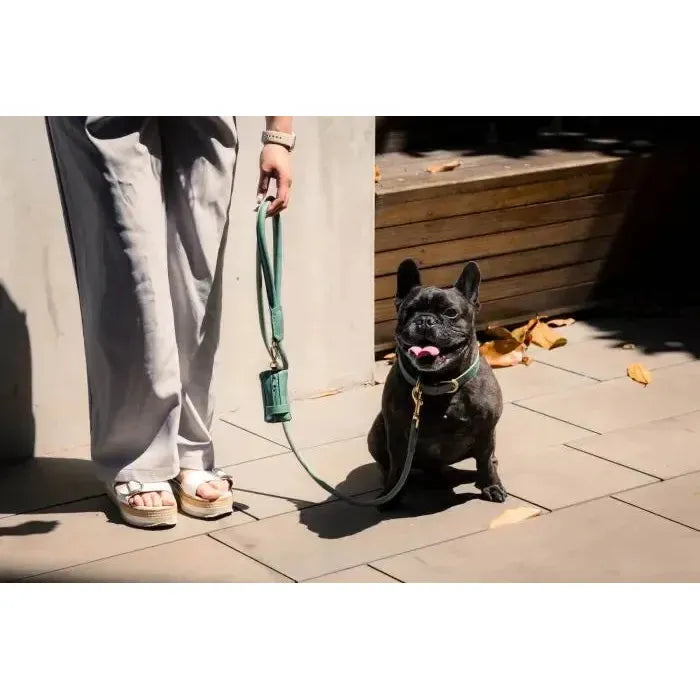 FuzzYard Life | Atelier Rope Dog Lead - Myrtle Green-FuzzYard Life-Love My Hound