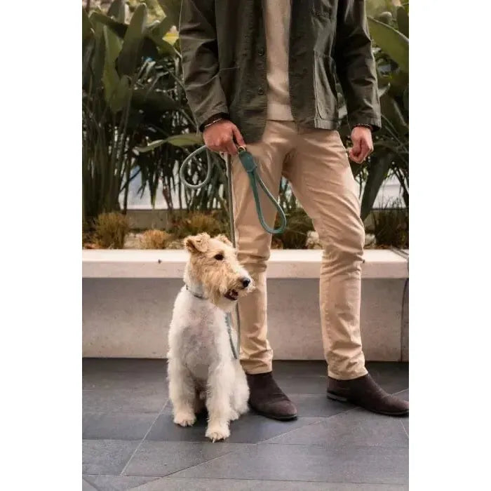 FuzzYard Life | Atelier Rope Dog Lead - Myrtle Green-FuzzYard Life-Love My Hound