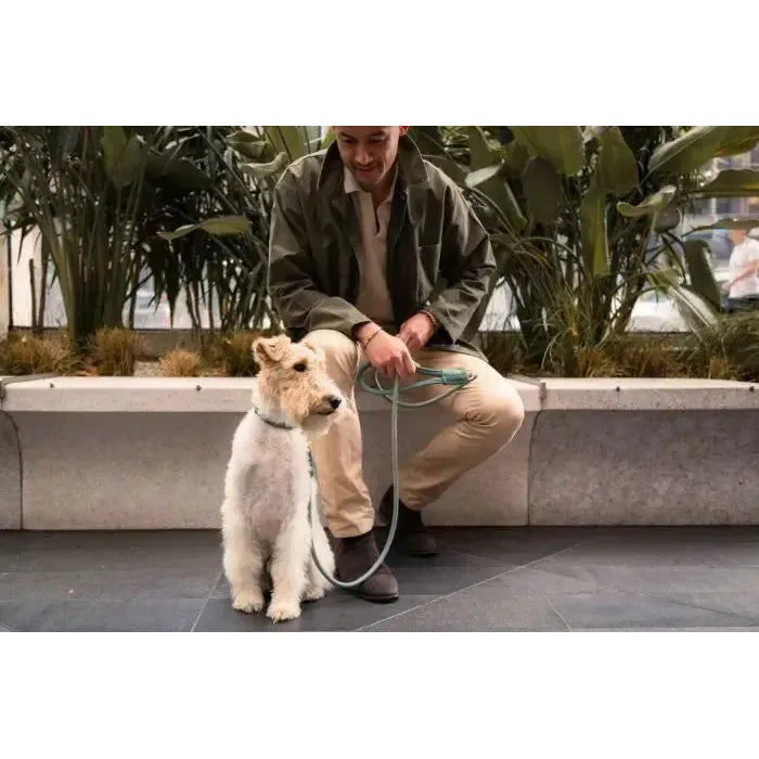 FuzzYard Life | Atelier Rope Dog Lead - Myrtle Green-FuzzYard Life-Love My Hound