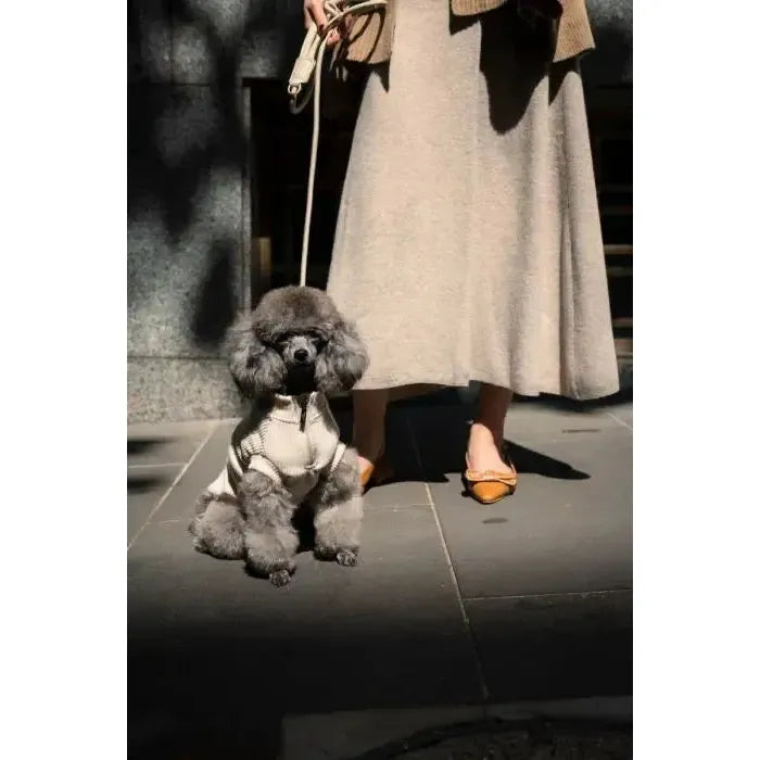 FuzzYard Life | Atelier Rope Dog Lead - Sandstone-FuzzYard Life-Love My Hound