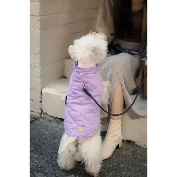 FuzzYard Life | Atelier Rope Dog Lead - Slate Grey-FuzzYard Life-Love My Hound