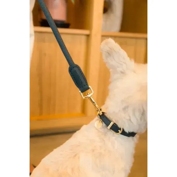 FuzzYard Life | Atelier Rope Dog Lead - Slate Grey-FuzzYard Life-Love My Hound