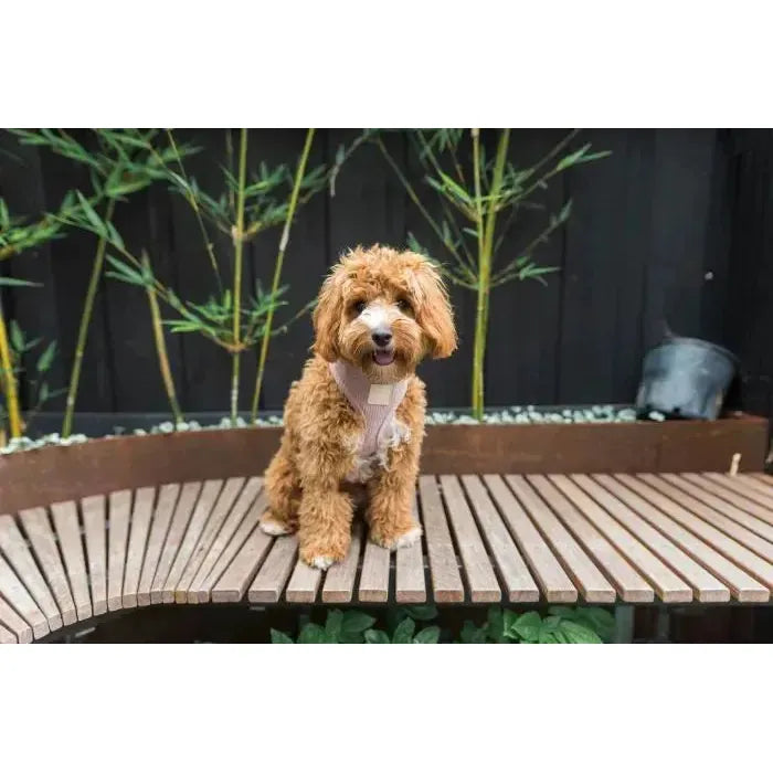 FuzzYard Life | Corduroy Dog Harness - Blush Pink-FuzzYard Life-Love My Hound