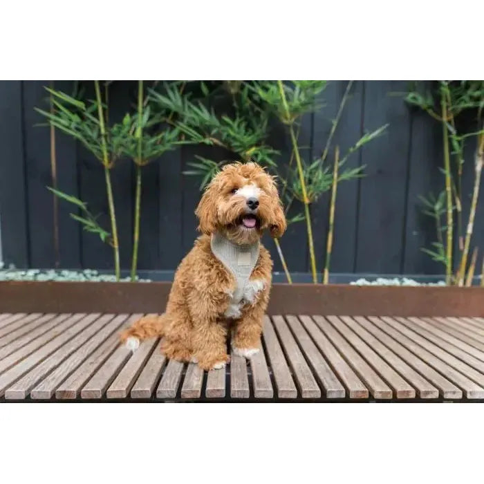 FuzzYard Life | Corduroy Dog Harness - Sandstone-FuzzYard Life-Love My Hound