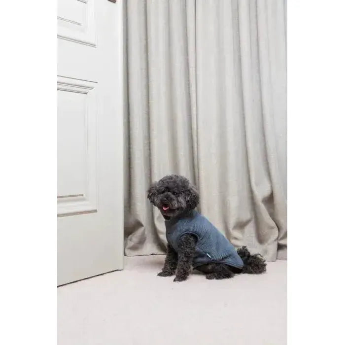 FuzzYard Life | Corduroy Jacket - Slate Grey-FuzzYard-Love My Hound