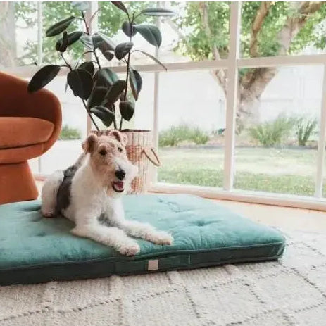 FuzzYard Life | Dog Lounge Mat - Myrtle Green-FuzzYard Life-Love My Hound