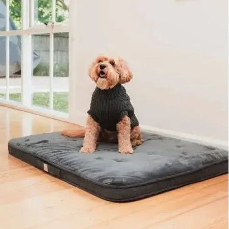 FuzzYard Life | Dog Lounge Mat - Slate Grey-FuzzYard Life-Love My Hound
