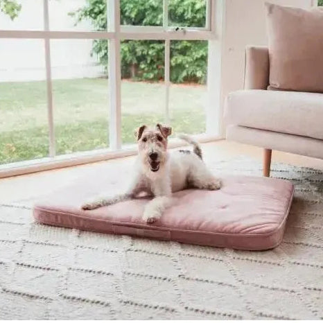FuzzYard Life | Dog Lounge Mat - Soft Blush-FuzzYard Life-Love My Hound