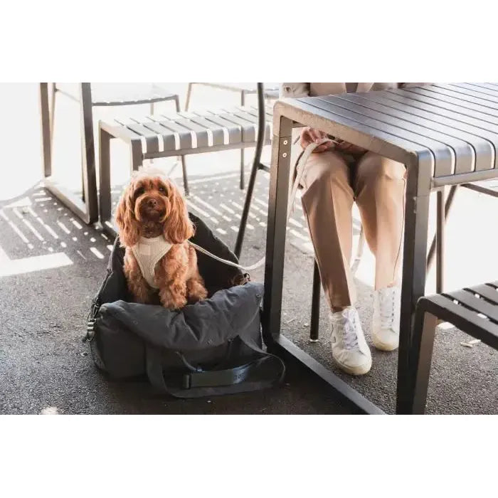 FuzzYard Life | Multipurpose Carrier & Car Seat - Slate Grey-FuzzYard Life-Love My Hound