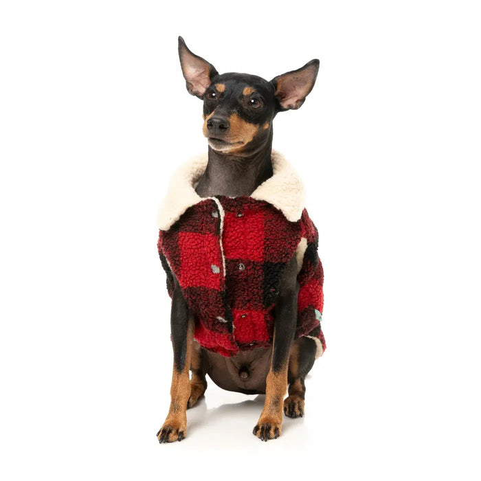 FuzzYard | Lumberjack Jacket - Red-FuzzYard-Love My Hound