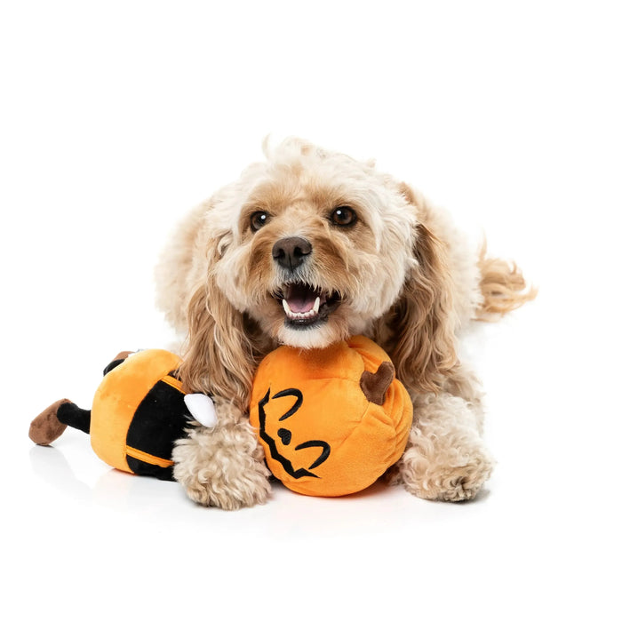 FuzzYard | Michael Gourdan Halloween Pumpkin Dog Toy-FuzzYard-Love My Hound