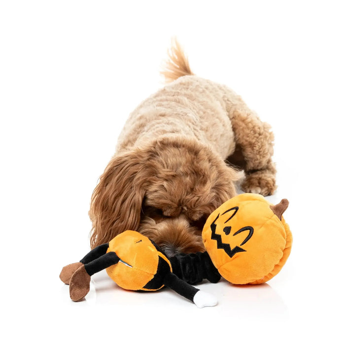 FuzzYard | Michael Gourdan Halloween Pumpkin Dog Toy-FuzzYard-Love My Hound