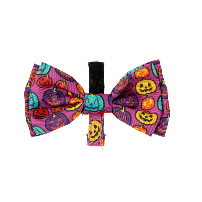 FuzzYard | Oh My Gourd! Halloween Bandana & Bowtie Set-FuzzYard-Love My Hound