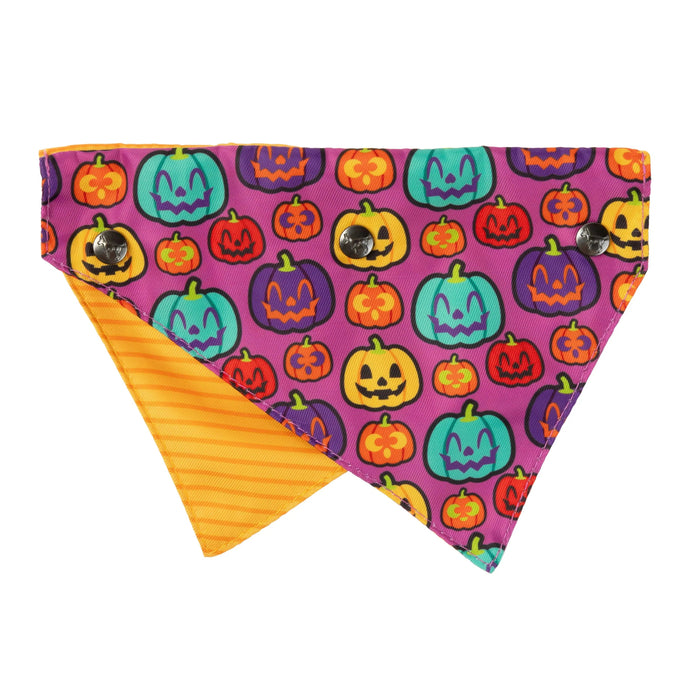 FuzzYard | Oh My Gourd! Halloween Bandana & Bowtie Set-FuzzYard-Love My Hound