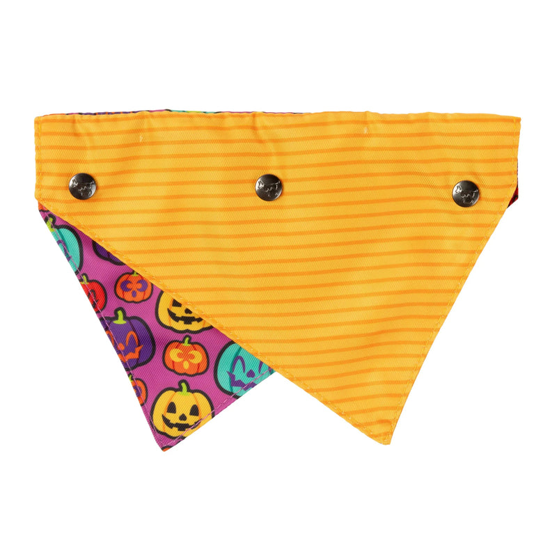 FuzzYard | Oh My Gourd! Halloween Bandana & Bowtie Set-FuzzYard-Love My Hound