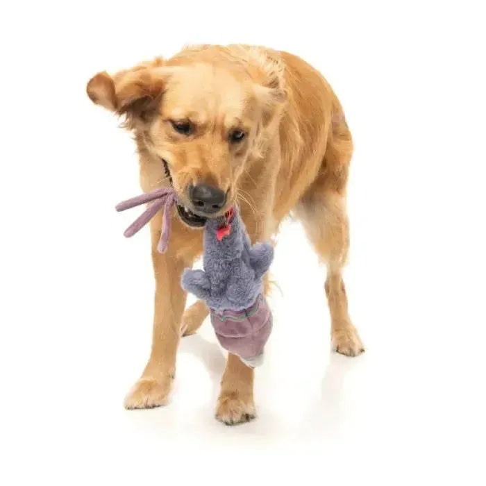 FuzzYard | Peace Out Pigeon - The Yeetz - Dog Toy-FuzzYard-Love My Hound