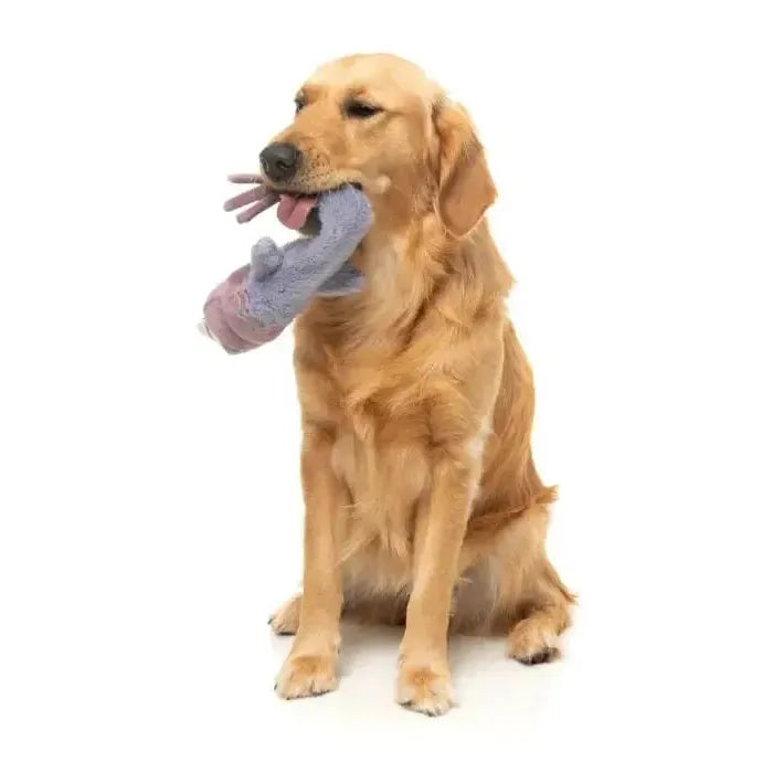 FuzzYard | Peace Out Pigeon - The Yeetz - Dog Toy-FuzzYard-Love My Hound