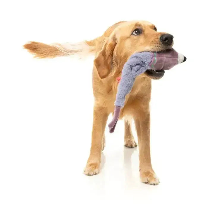 FuzzYard | Peace Out Pigeon - The Yeetz - Dog Toy-FuzzYard-Love My Hound