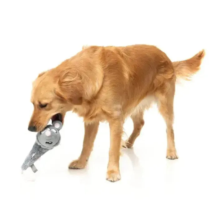 FuzzYard | Rack Off Rat - The Yeetz - Dog Toy-FuzzYard-Love My Hound