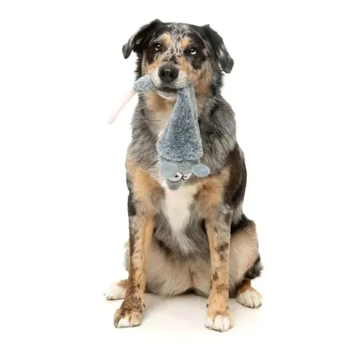 FuzzYard | Rack Off Rat - The Yeetz - Dog Toy-FuzzYard-Love My Hound
