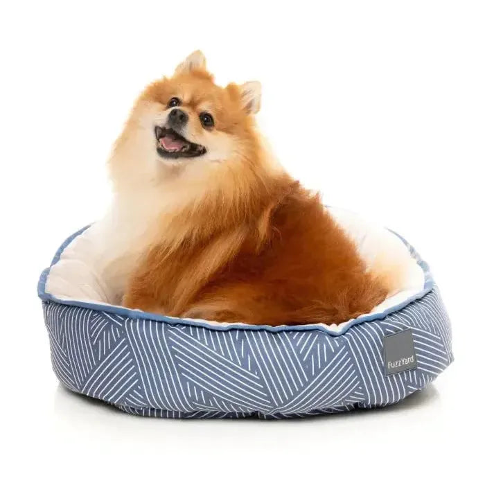 FuzzYard | Reversible Dog Bed - Thornbury Aegean Blue-FuzzYard-Love My Hound