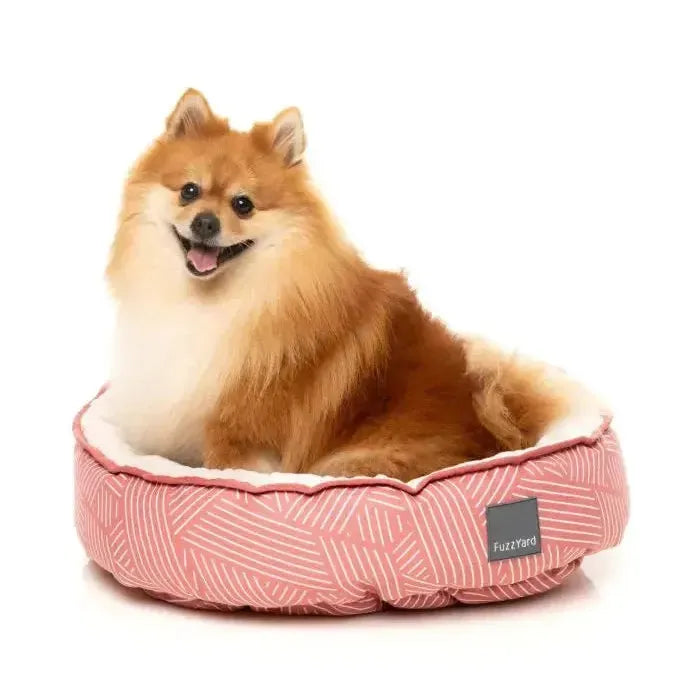 FuzzYard | Reversible Dog Bed - Thornbury Brick Red-FuzzYard-Love My Hound