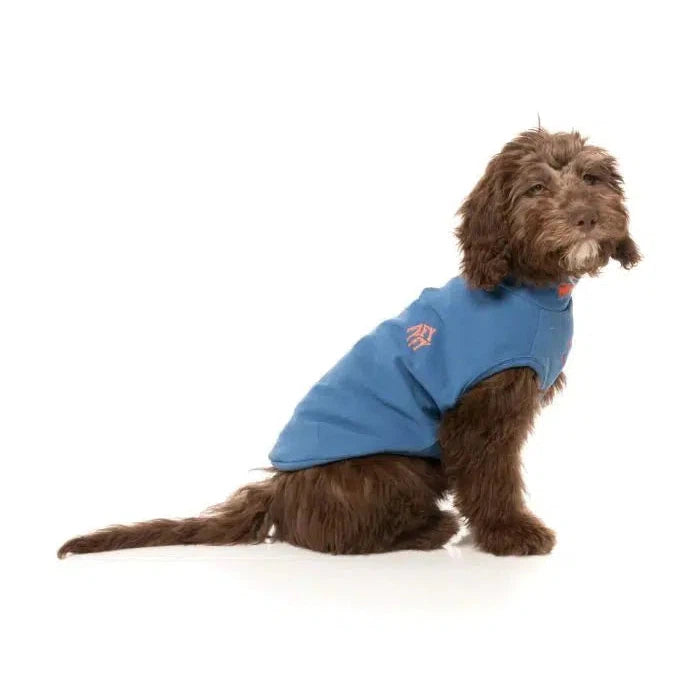 FuzzYard | Rock It Sweater - Blue-FuzzYard-Love My Hound