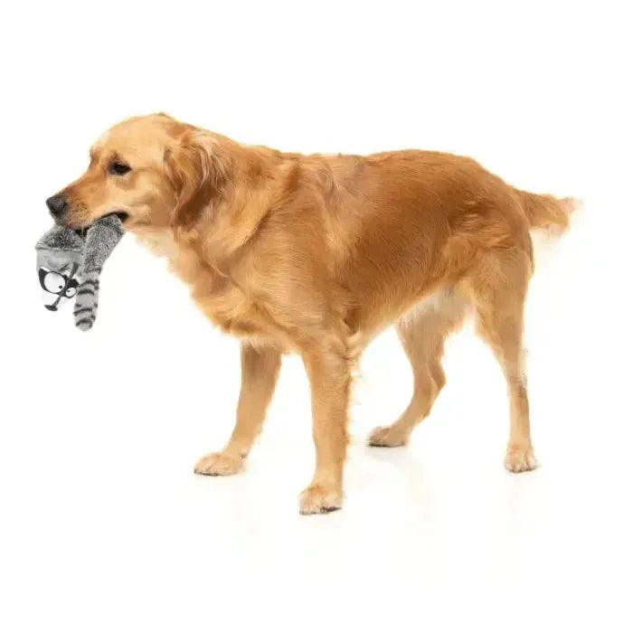 FuzzYard | Run Along Racoon - The Yeetz - Dog Toy-FuzzYard-Love My Hound
