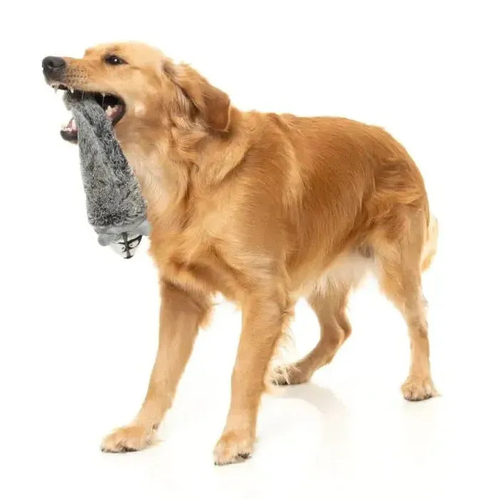 FuzzYard | Run Along Racoon - The Yeetz - Dog Toy-FuzzYard-Love My Hound