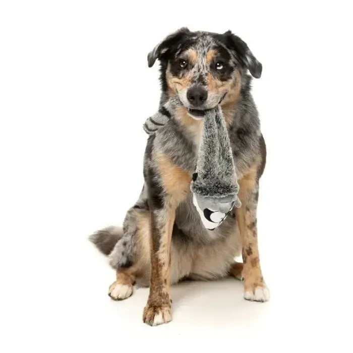 FuzzYard | Run Along Racoon - The Yeetz - Dog Toy-FuzzYard-Love My Hound