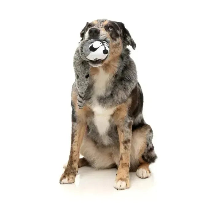 FuzzYard | Run Along Racoon - The Yeetz - Dog Toy-FuzzYard-Love My Hound