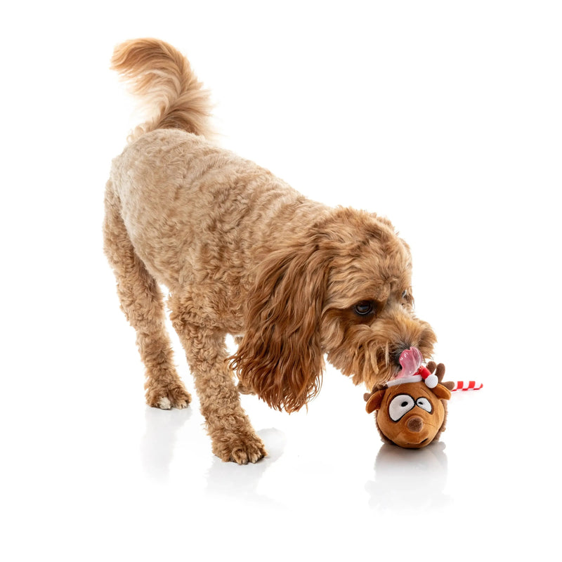 FuzzYard | Run Away Reindeer - Christmas Dog Toy-FuzzYard-Love My Hound