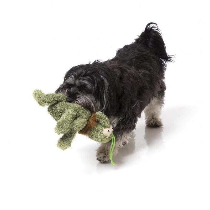 FuzzYard - Scratchy The Green Flea - Plush Dog Toy-FuzzYard-Love My Hound