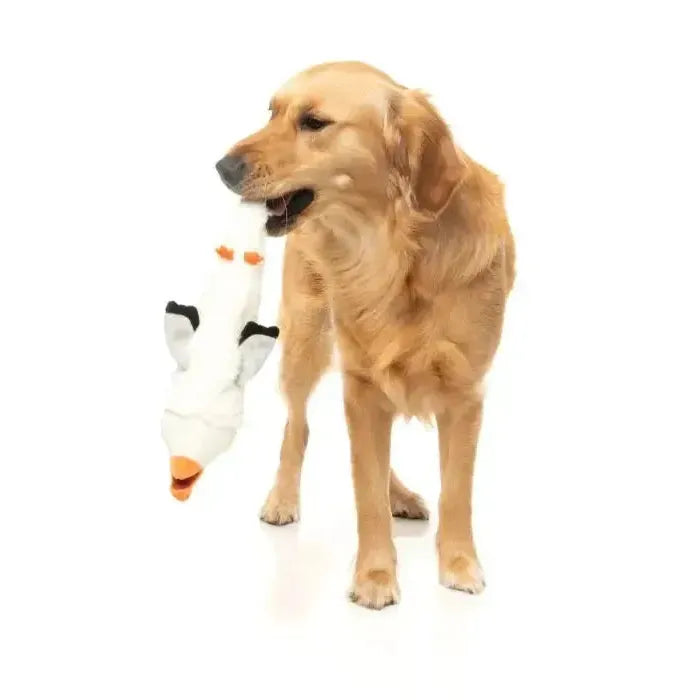 FuzzYard | See-ya Seagul - The Yeetz - Dog Toy-FuzzYard-Love My Hound