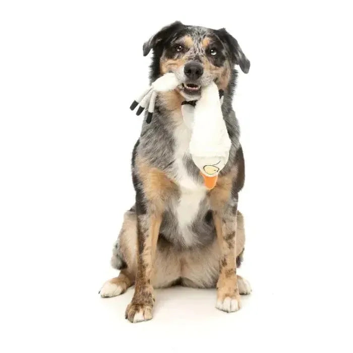 FuzzYard | See-ya Seagul - The Yeetz - Dog Toy-FuzzYard-Love My Hound