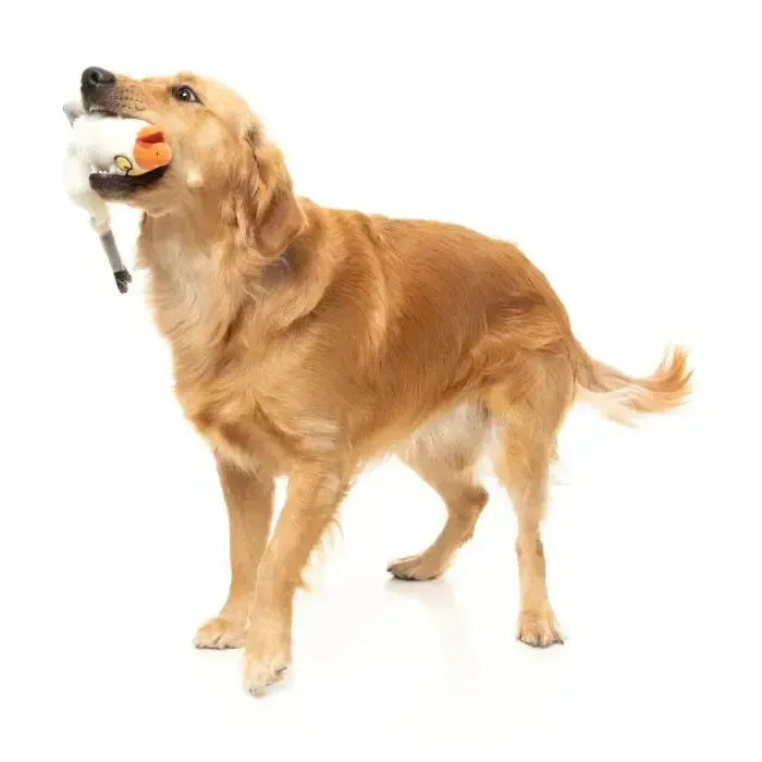 FuzzYard | See-ya Seagul - The Yeetz - Dog Toy-FuzzYard-Love My Hound