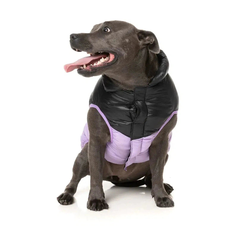FuzzYard | South Harlem Dog Puffer Jacket - Lilac-FuzzYard-Love My Hound
