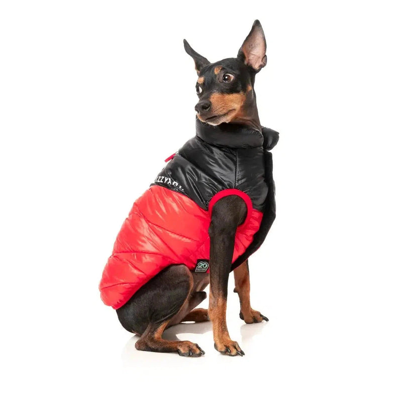 FuzzYard | South Harlem Dog Puffer Jacket - Red-FuzzYard-Love My Hound