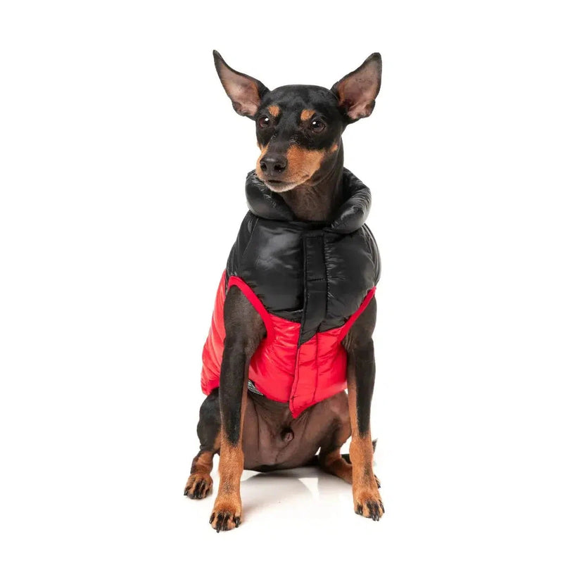 FuzzYard | South Harlem Dog Puffer Jacket - Red-FuzzYard-Love My Hound