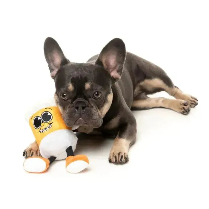 FuzzYard | Steinzy The Homies - Beer Mug Dog Toy-FuzzYard-Love My Hound