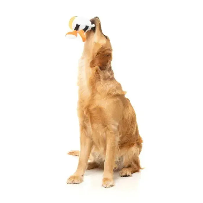 FuzzYard | Steinzy The Homies - Beer Mug Dog Toy-FuzzYard-Love My Hound