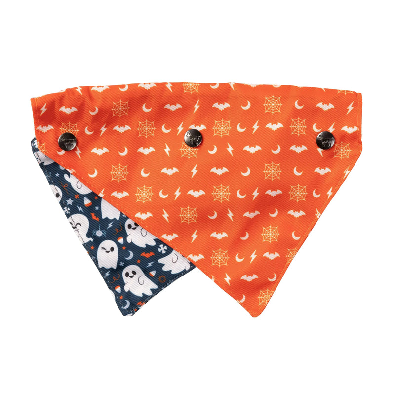 FuzzYard | That's The Spirit Halloween Bandana & Bowtie Set-FuzzYard-Love My Hound