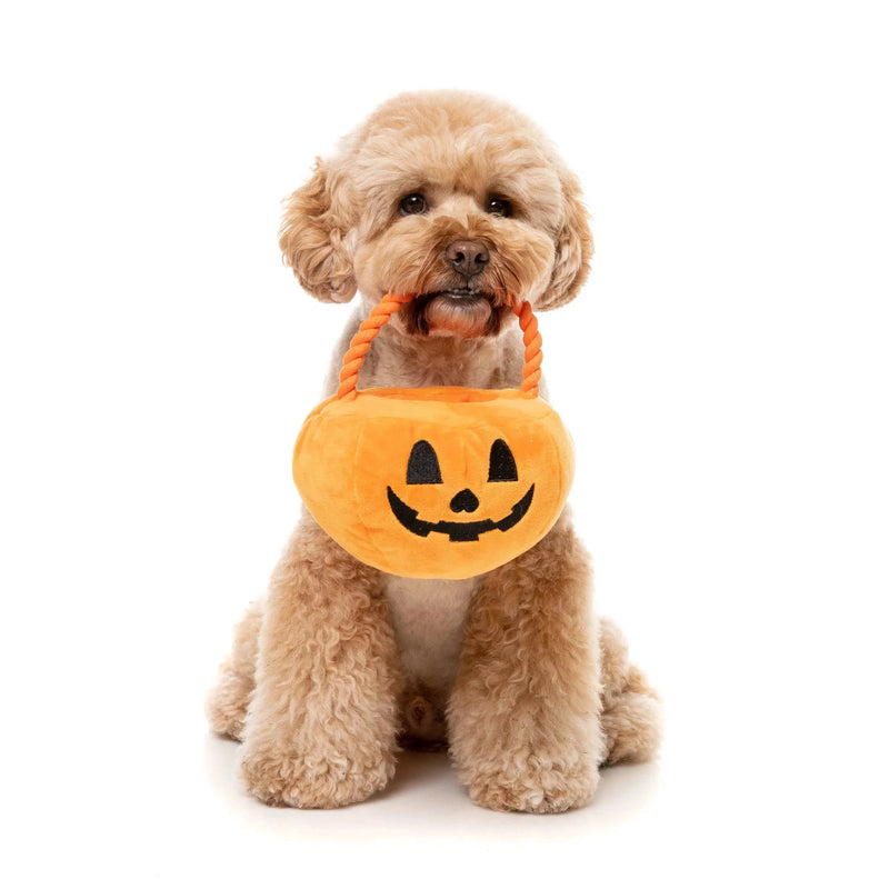 FuzzYard | Trick or Treat Pumpkin Basket - Halloween Plush Dog Toy-FuzzYard-Love My Hound