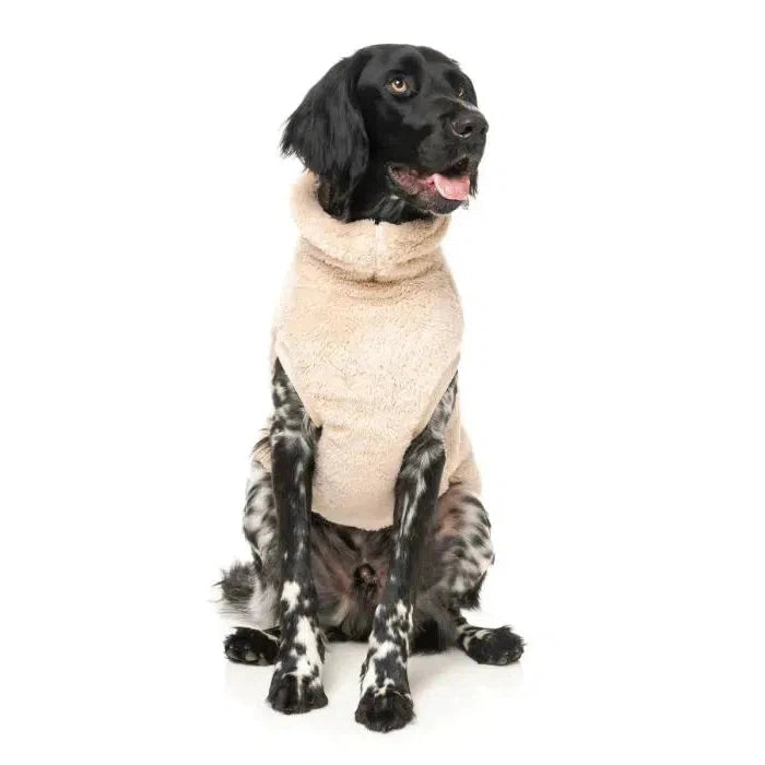 FuzzYard | Turtle Teddy Sweater - Beige-FuzzYard-Love My Hound