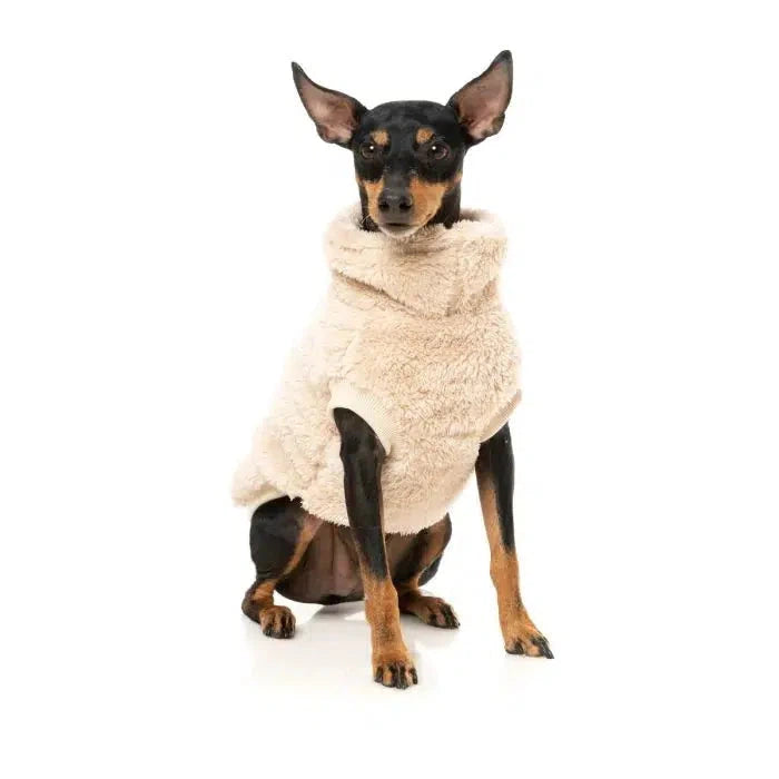 FuzzYard | Turtle Teddy Sweater - Beige-FuzzYard-Love My Hound