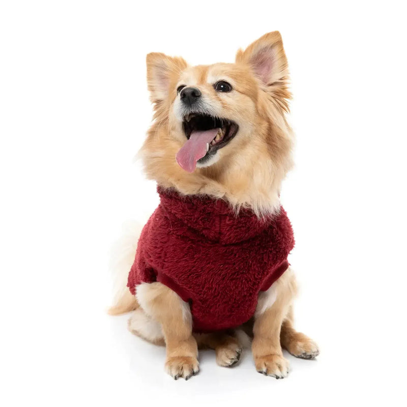 FuzzYard | Turtle Teddy Sweater - Maroon-FuzzYard-Love My Hound